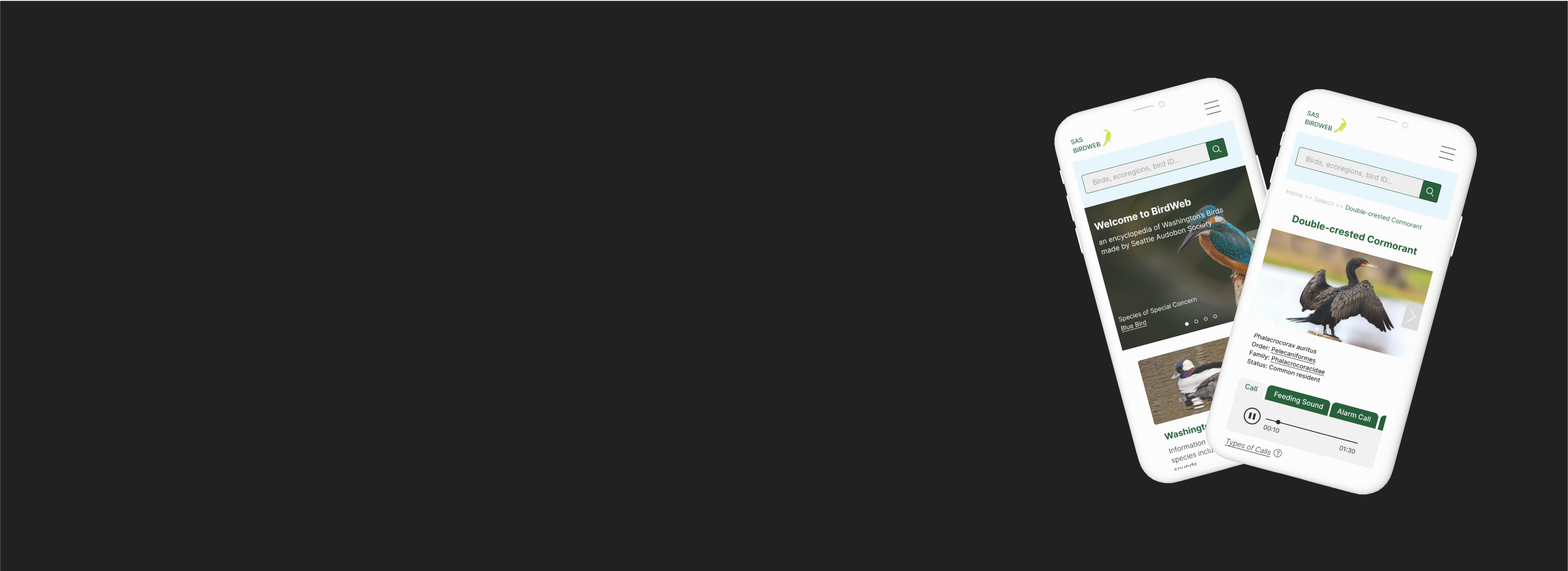 birdweb-banner